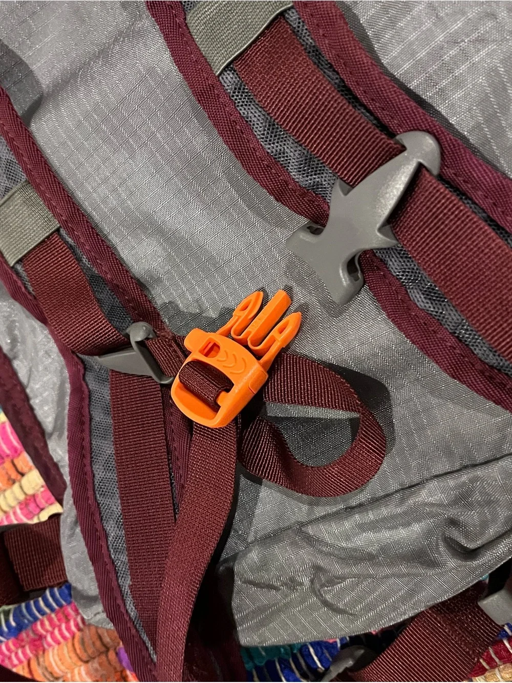 REI daypack